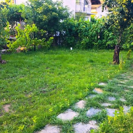 Alpin Guest House Sapareva Banya Esterno foto
