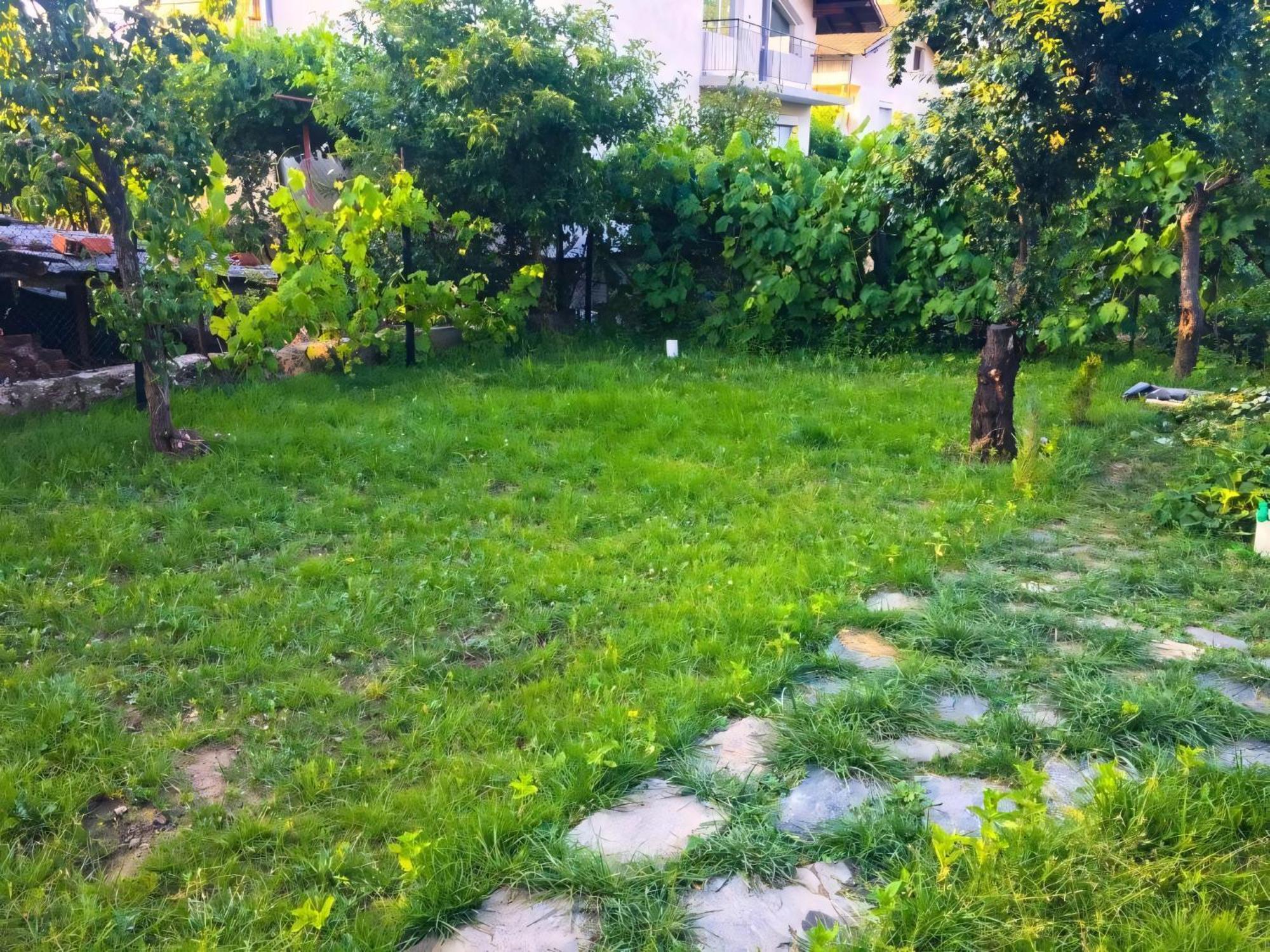 Alpin Guest House Sapareva Banya Esterno foto